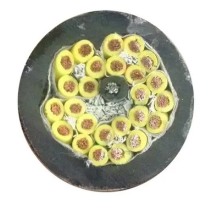 QQ截圖20231222170919.png