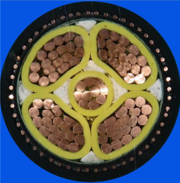 QQ20240731-150240.png